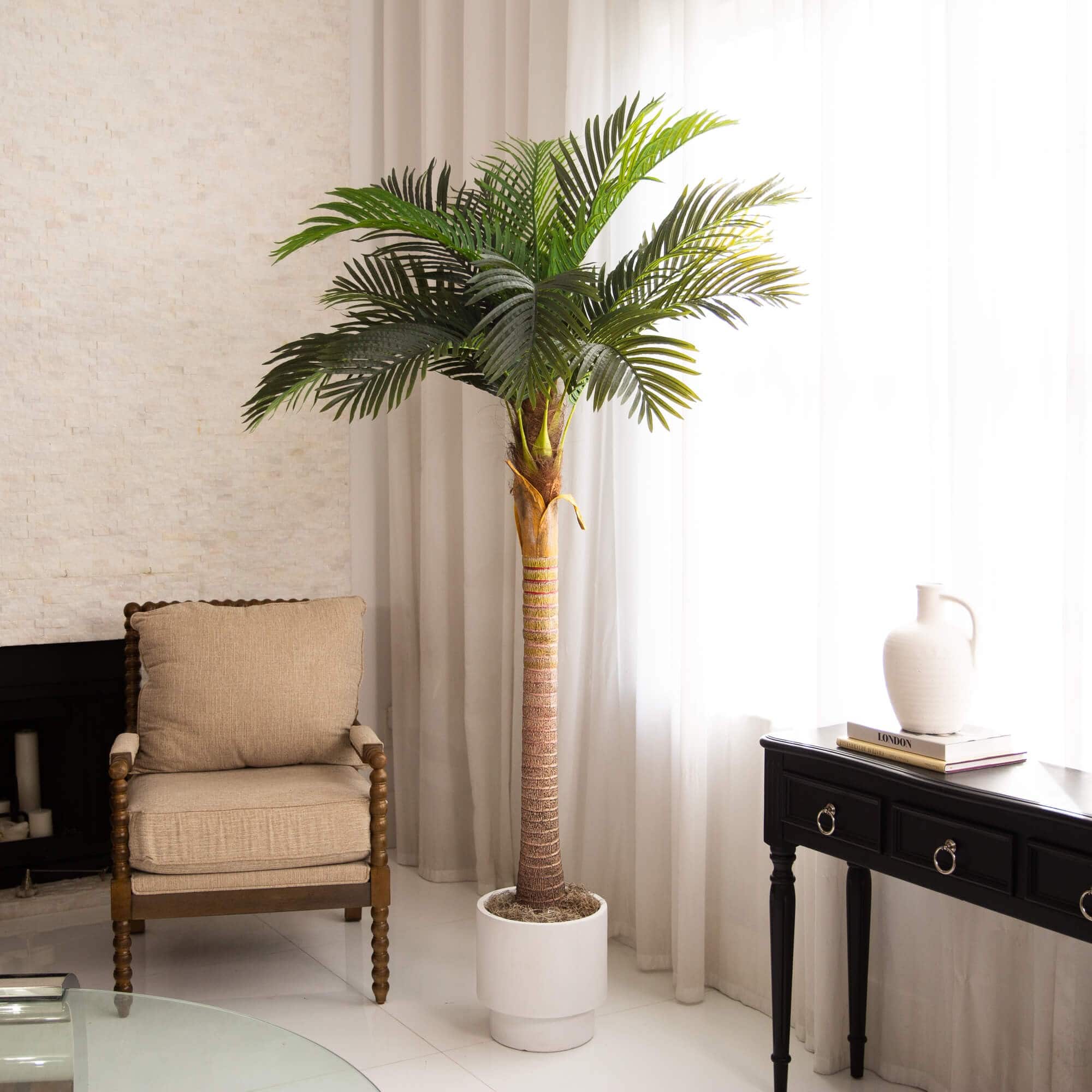 7ft. Potted Coconut Palm Tree